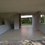 Isotta